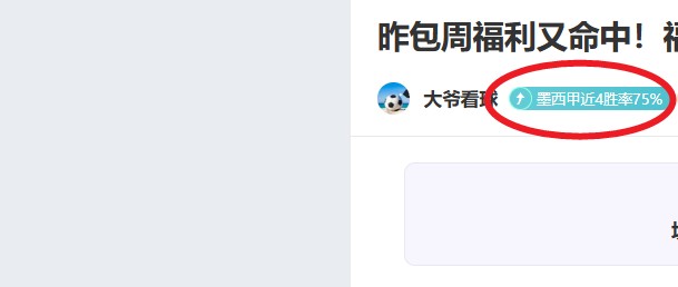 迎接,新年启航,深度解析英,bet365最新网址,中文bet365,BET365体育